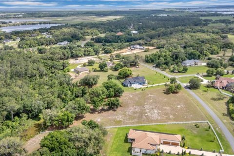 Land in Tavares, Florida № 2117828 - photo 13