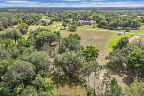Land in Tavares, Florida № 2117828 - photo 9