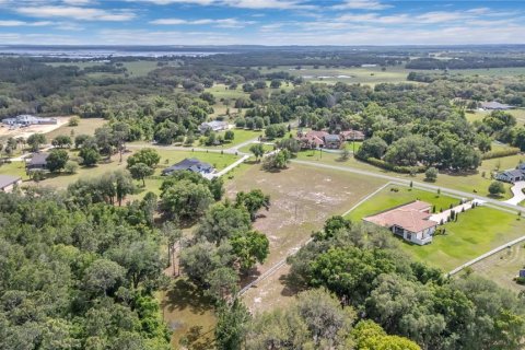 Land in Tavares, Florida № 2117828 - photo 11