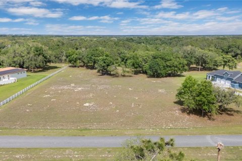 Land in Tavares, Florida № 2117828 - photo 8