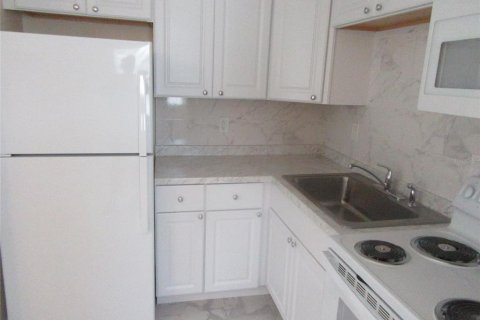 Studio in Madeira Beach, Florida № 1808763 - photo 27
