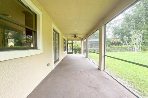 Casa en alquiler en Tampa, Florida, 5 dormitorios, 281.49 m2 № 1774820 - foto 4