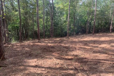 Terreno en venta en Mossy Head, Florida № 562070 - foto 1