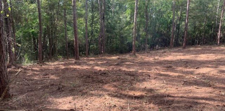 Terreno en Mossy Head, Florida № 562070
