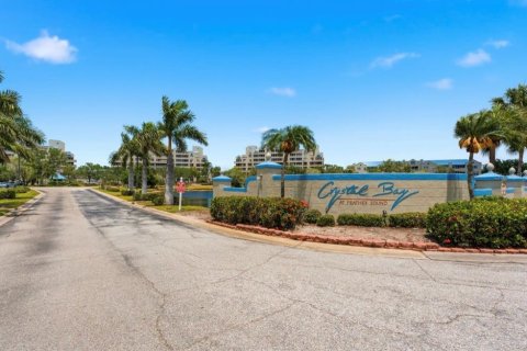 Copropriété à louer à Clearwater, Floride: 1 chambre, 68.75 m2 № 2411693 - photo 30