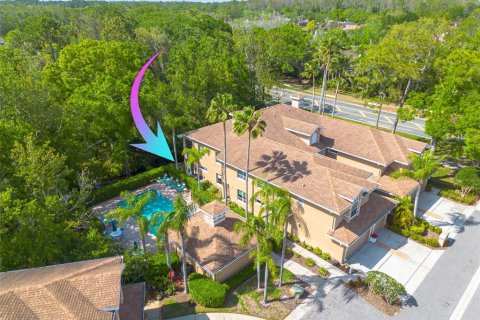 Condo in Palm Harbor, Florida, 2 bedrooms  № 1644357 - photo 1