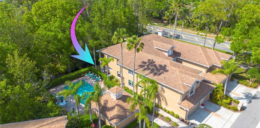 Condo in Palm Harbor, Florida, 2 bedrooms № 1644357