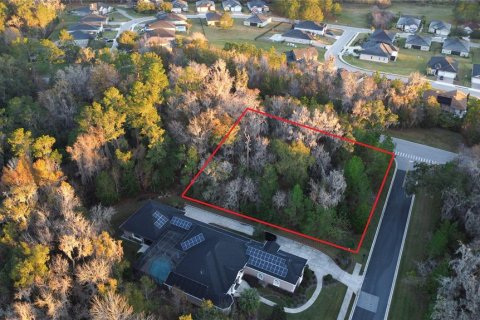 Land in BELLECHASE in Ocala, Florida № 1554467 - photo 3