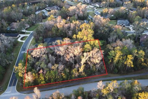 Land in BELLECHASE in Ocala, Florida № 1554467 - photo 4