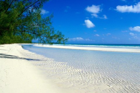 Villa ou maison à louer à Palm Harbor, Floride: 2 chambres, 114.27 m2 № 1914640 - photo 29