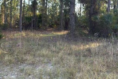 Terreno en venta en Lehigh Acres, Florida № 2195427 - foto 2