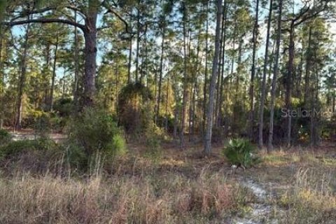 Terreno en Lehigh Acres, Florida № 2195427