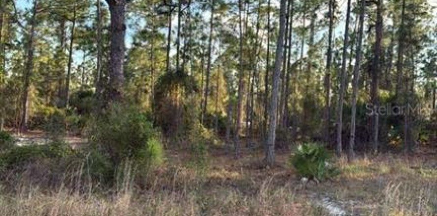 Terreno en Lehigh Acres, Florida № 2195427