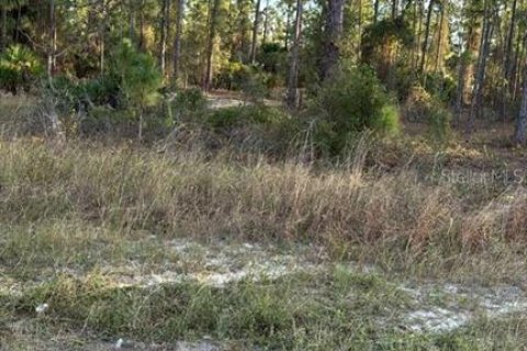 Terreno en venta en Lehigh Acres, Florida № 2195427 - foto 5