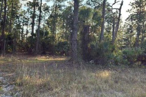Terreno en venta en Lehigh Acres, Florida № 2195427 - foto 3
