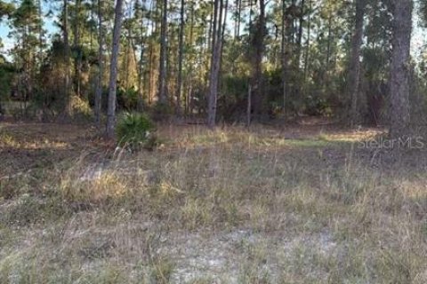Terreno en venta en Lehigh Acres, Florida № 2195427 - foto 4
