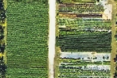 Commercial property in Boynton Beach, Florida № 2146302 - photo 2