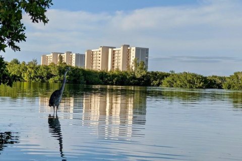 Condo in Sarasota, Florida, 2 bedrooms  № 1733828 - photo 10