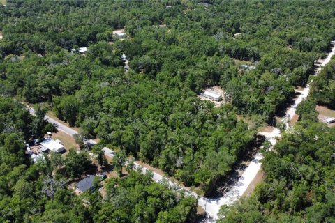 Terrain à vendre à Williston, Floride № 2200269 - photo 4
