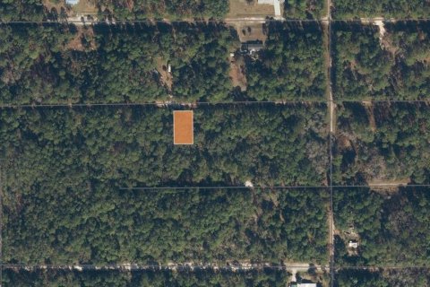 Land in Georgetown, Florida № 2165064 - photo 5