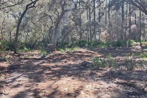 Land in Georgetown, Florida № 2165064