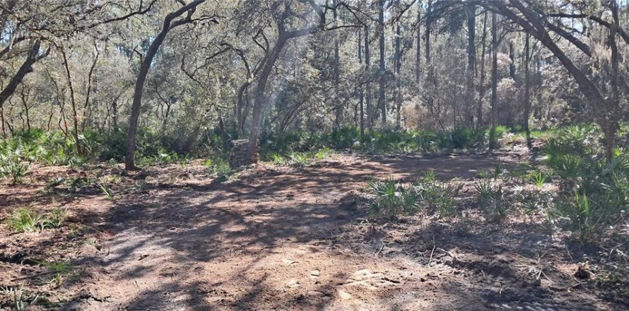 Land in Georgetown, Florida № 2165064