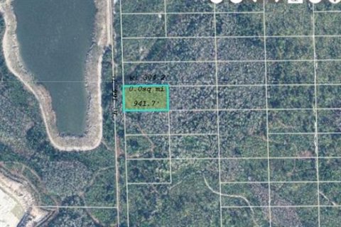 Land in Orlando, Florida № 2219154 - photo 2