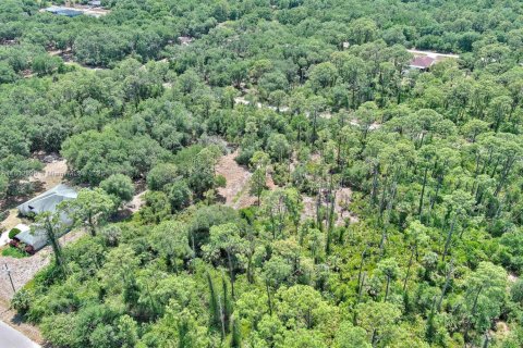 Terreno en venta en Lehigh Acres, Florida № 1862172 - foto 20