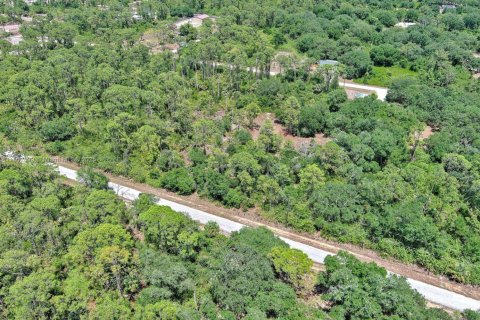 Terreno en venta en Lehigh Acres, Florida № 1862172 - foto 10