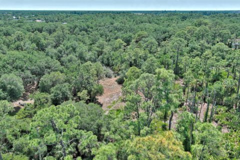Terreno en venta en Lehigh Acres, Florida № 1862172 - foto 21