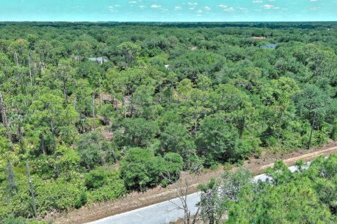 Terreno en venta en Lehigh Acres, Florida № 1862172 - foto 4