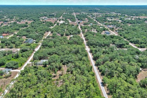 Terreno en venta en Lehigh Acres, Florida № 1862172 - foto 12
