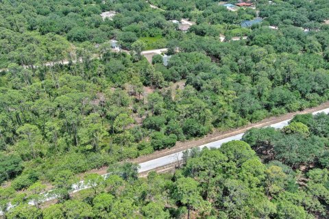 Terreno en venta en Lehigh Acres, Florida № 1862172 - foto 6