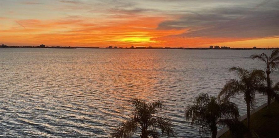 Condo à Gulfport, Floride, 2 chambres № 2099200