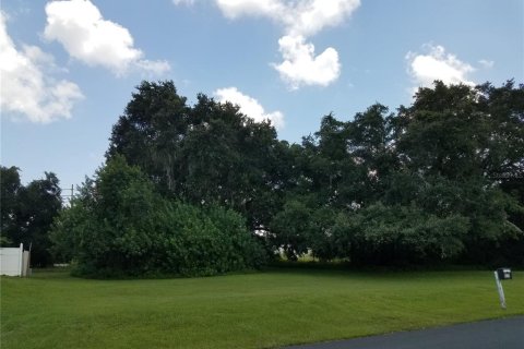 Land in Kissimmee, Florida № 878854 - photo 8