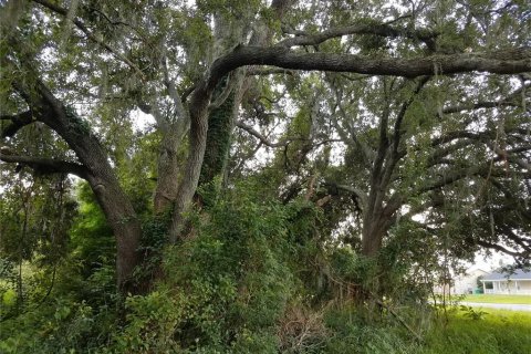 Land in Kissimmee, Florida № 878854 - photo 14