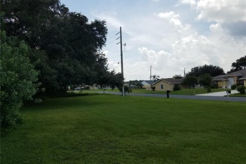 Land in Kissimmee, Florida № 878854 - photo 11