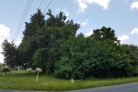 Land in Kissimmee, Florida № 878854 - photo 3