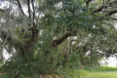 Land in Kissimmee, Florida № 878854 - photo 12