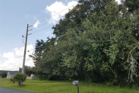 Land in Kissimmee, Florida № 878854 - photo 6
