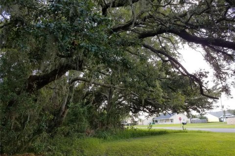 Land in Kissimmee, Florida № 878854 - photo 13