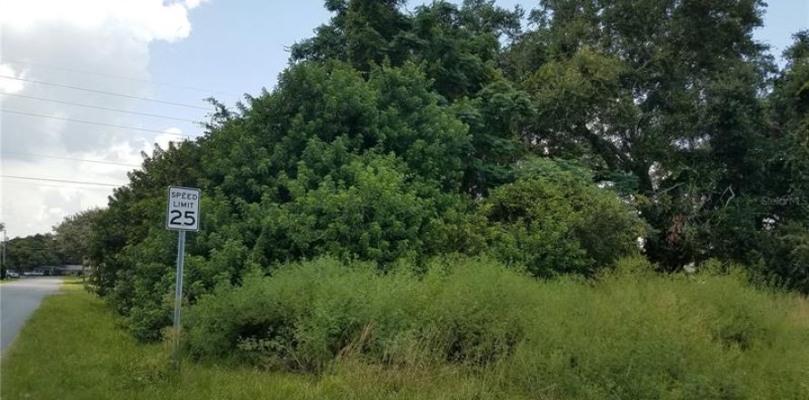 Land in Kissimmee, Florida № 878854