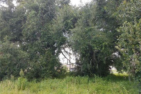 Land in Kissimmee, Florida № 878854 - photo 17
