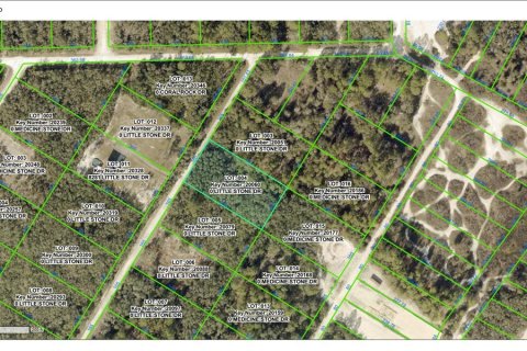 Land in Webster, Florida № 2159644