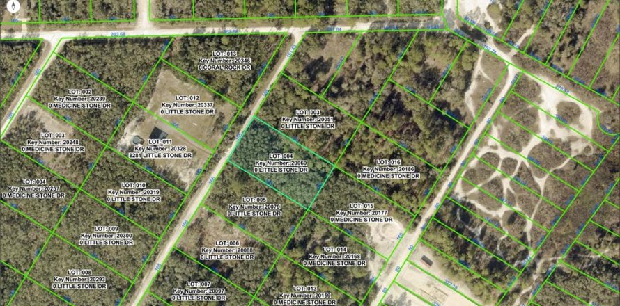 Land in Webster, Florida № 2159644
