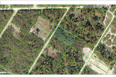 Land in Webster, Florida № 2159644 - photo 2