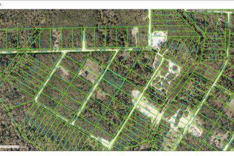 Land in Webster, Florida № 2159644 - photo 3