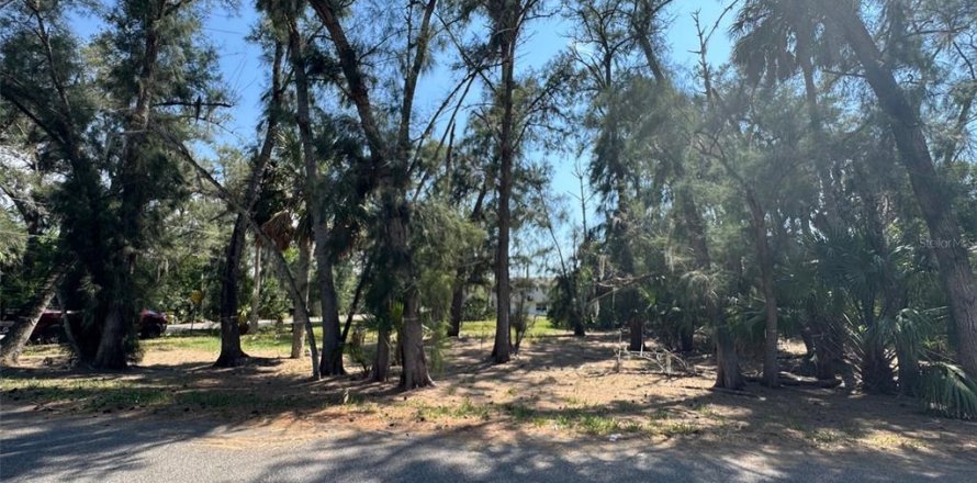 Land in New Port Richey, Florida № 2163461