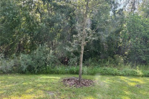 Adosado en alquiler en Wesley Chapel, Florida, 3 dormitorios, 163.32 m2 № 1834803 - foto 20