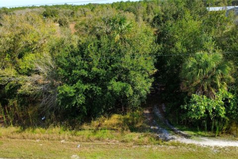 Terrain à vendre à Naples, Floride № 1945012 - photo 9